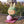Pop Mart Labubu The Monsters Lazy Yoga Series Figures Mystery Box