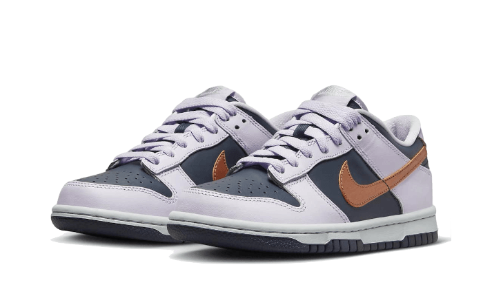 Nike Dunk Low Copper Swoosh 